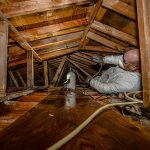 Mold attic person cleaning attic