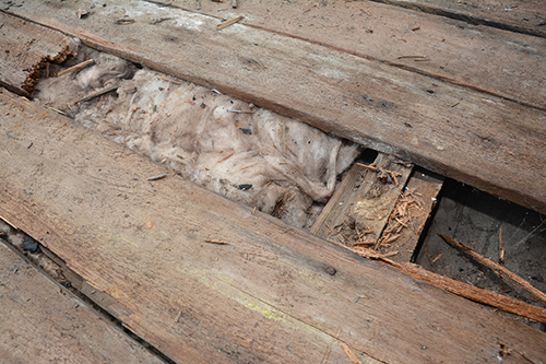 wet insulation which needs replacement to get rid of mold in the attic