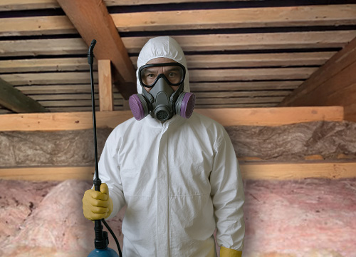 Worker in hazmat suit spraying attic for raccoon feces cleanup.
