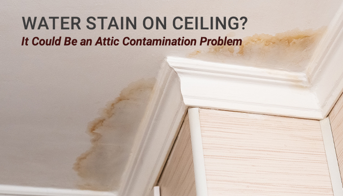 Water stain on ceiling near corner molding with visible brown discoloration.